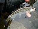 2007-04-24 011.JPG